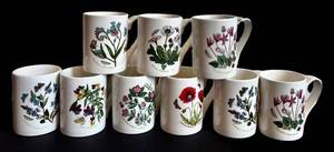 DR - (9) Portmeirion Botanic Garden Mugs - Susan Williams-Ellis