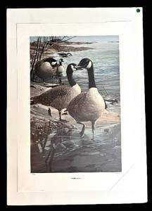 LR - Shoreline Solitude Limited Edition Print 509580