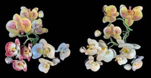 DR - Six Enamel Orchid Napkin Rings - Floral Napkin Holders, PinkYellowWhite (Lot of 6)