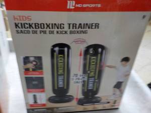 Kids Kickboxing Trainer...