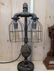 Rockwell Mfg Co Industrial Lamp - Dual Edison Bulb Sockets, Wire Cage & Gear Base