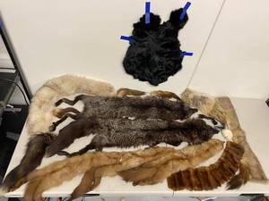 Vintage Real Fur Pelt Collection Silver Fox & Mixed Fur Pieces Cond