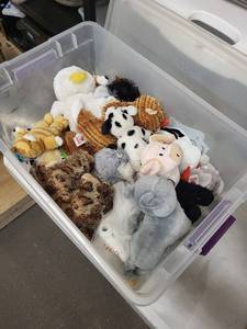 Assorted Plush Toys - Mixed Stuffed Animals in Clear Storage Bin