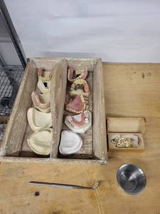 Dental Training Jaw Models - Assorted Casts & Partial Denture Sets in Wooden Box
