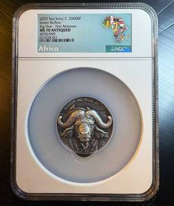5oz 2020 Ivory Coast Antiqued Water Buffalo, Top Pop, 1 of 80, .999 Silver