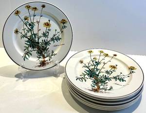 Villeroy & Boch Botanica 7-Inch Vitro-Porcelain Dinner Plates