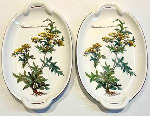 Villeroy & Boch Botanica Oval Plates - Vitro Porcelaine - 2-Piece Set