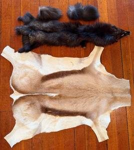 Springbok Pelt 39 x 29 in & Mink Pelt