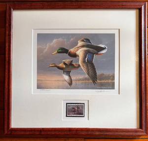 James Hautman Framed Print 16 x 15 in Mallards with Migratory Bird Stamp
