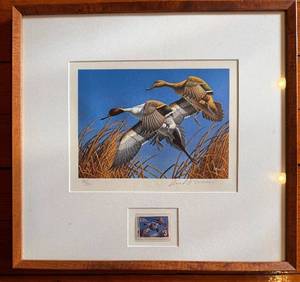 David A. Maass 1979 Minnesota Duck Stamp Print Framed Art (3083800)