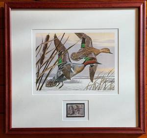 Charles Allen Duck Print - 16 x 15 in - Edition 465750