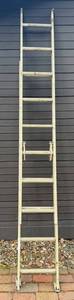 Werner D1116 Aluminum Ladder - 200 lb Type III Light Duty Household Use