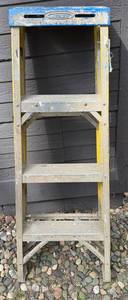 Werner Step Ladder 4