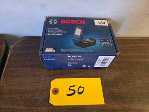 Bosch GLI18V-800N Worklight, 18 Vol...