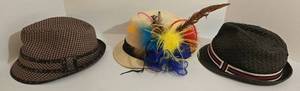 Lot of 3 Fedora Hats - Milani Straw with Feathers & Original Penguin Tweed  & Waterproof Woven Gray