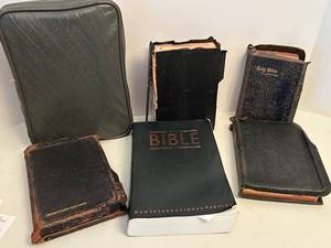 Large lot of the Holy Bible - Illustrated NIV & King James Version, Vintage Bible Set (Multiple Editions)