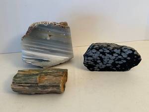 Petrified Wood & Chalcedony Stones (Lot of 3)