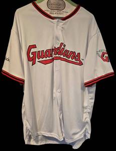 BDO Sports Guardians Herrin 29 Baseball Jersey XL