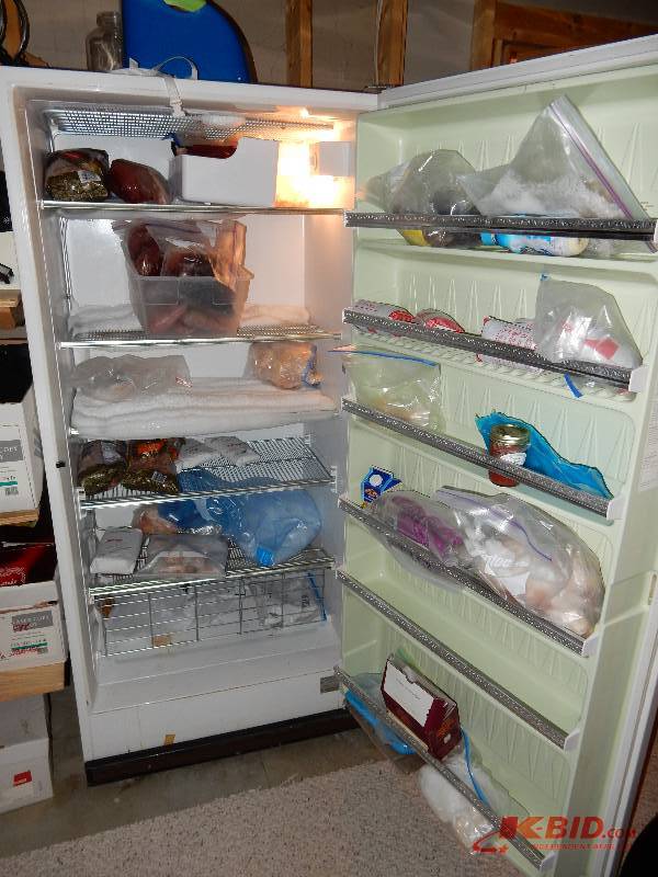 lot 249 image: Upright Freezer, Daytons Brand