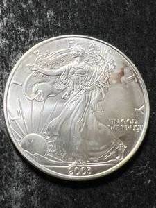 2003 AMERICAN SILVER EAGLE 1 TROY OZ .999 FINE SILVER