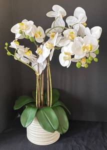 K - Phalaenopsis Orchid Artificial Arrangement