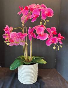 P - Faux Phalaenopsis Orchid Plant