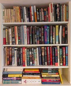 LLR - Books - Large Variety Across Fiction, Nonfiction, Travel & Reference (4-Shelf Collection)