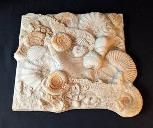LB - Seashell Plaster Wall Plaque - Shell Relief