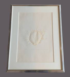 LB - Suzanne Thomas Shell Relief - Framed Wall Art