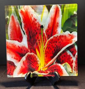 DR - Prima Donna Stargazer Lily Glass Platter