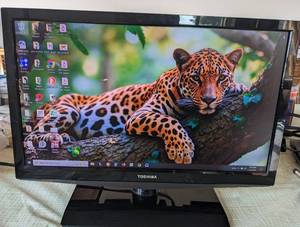 TOSHIBA 19-INCH LED-LCD TV WITH DUAL HDMI INPUTS AND REMOTE CONTROL