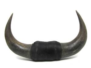 Vintage Western Style Buffalo Horn Wall Display #1