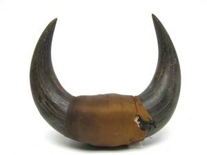 Vintage Western Style Buffalo Horn Wall Display #2
