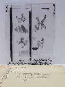 Original 1950s Gil Elvgren Pinup Girl Glass Transfer Plate Artwork wOriginal Envelope #24