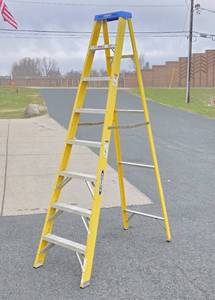 WERNER 8 Yellow Fiberglass Ladder