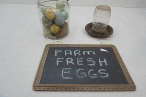 Egg  Chicken Decor , glass jar (rim is Broken) with eggs, slate egg sign , feeder