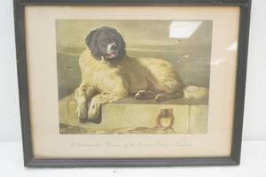 Framed Vintage Print A Distinguished Member of the Humane Society by Sir Edwin Henry Landseer 12.5x10
