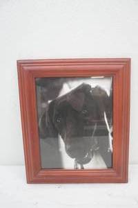 Framed Photo Print 11x 13