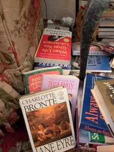 Mixed Lot of Bestselling Books - The Help, The Lovely Bones, The Cat Who Came for Christmas & More