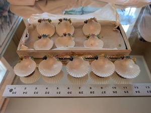 Assorted Large White Scallop Shells with Pastel Floral Accents - Craft & Decor