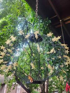 Hanging Star Globe Light Fixture