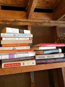 Assorted Paris Travel Fashion Memoir Book Lot Approx 15 Volumes Good
