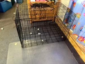 Large dog kennel