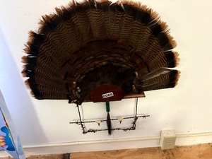 Turkey fan wall mount