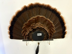 Turkey fan wall mount