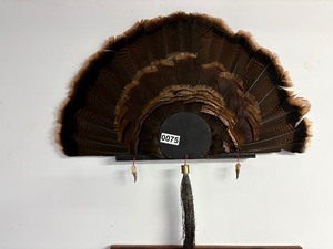 Turkey fan wall mount