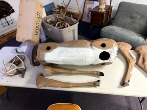 Buck decoy