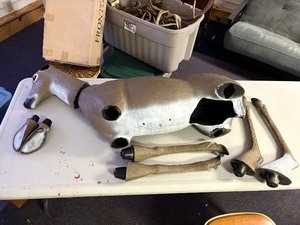 Doe deer decoy