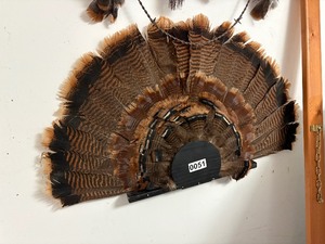 Turkey fan wall mount