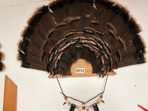 Turkey fan wall mount